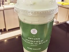 -茉酸奶(高科山姆店)