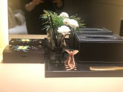-娇莉芙美颜SPA连锁