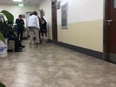 -美联众合动物医院·24h转诊中心