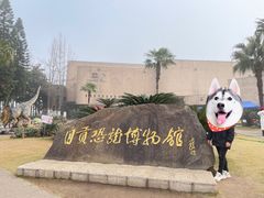 -自贡恐龙博物馆