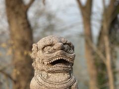 -灵隐飞来峰景区