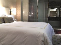 金奥费尔蒙酒店-南京金奥国际酒店
