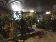 -泉城欧乐堡戏水湾艺术养生温泉