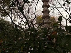 -墅园