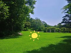 -青岛德国总督楼旧址博物馆