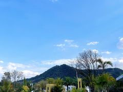-白石龙音乐公园