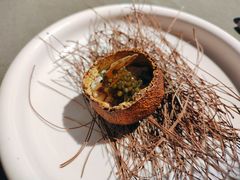 烤橘子-曲廊院(东四十一条店)