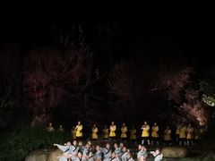 -禅宗少林·音乐大典
