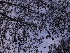 -东湖磨山景区