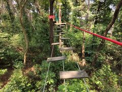-芦仙山景区-飞越丛林探险乐园