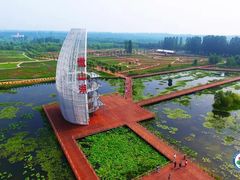 -微山湖红荷湿地景区