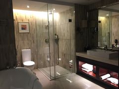 -常州环球恐龙城维景国际大酒店