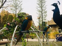 -石家庄市动物园