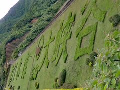 -东海大峡谷