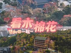 -喜洲吧·江畔老船厂·庭院餐厅(喜临院店)