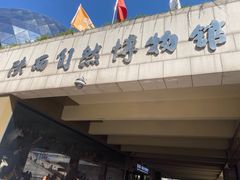 -陕西自然博物馆