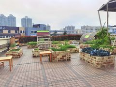 -冰厂田幼儿园(世纪部)