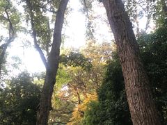-灵谷景区