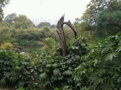 android_upload_pic-旺山景区