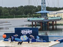 -秦皇岛乐岛海洋王国