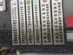 -大通湖