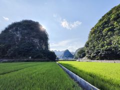 -万峰林风景区