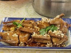 -百利鸽王(紫薇路店)