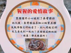 -淡水老街