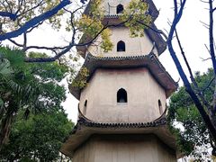 -江心屿景区