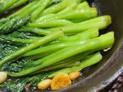 生煎菜心-杨记隆府(重庆总店)