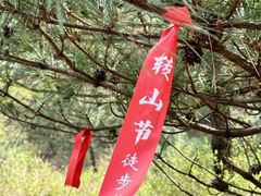 -玉渡山自然风景区