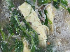 -金鼎雪山牦牛杂火锅(理县总店)