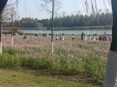 -滨湖塘西河公园