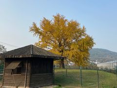 -苏州太湖西山岛开心农场