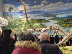 -自贡恐龙博物馆