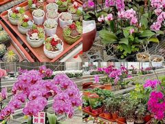 -北京益泉花园酒店
