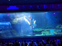 -多彩贵州城极地海洋世界