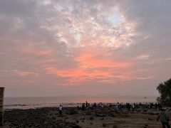 -深圳湾公园(南山区)