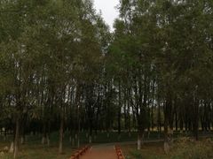 -东郊湿地公园