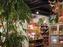 -自由生长植物工作室(深港花卉中心店)