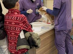 -萌兽医馆·犬猫专科·眼科中心·宠物医院(朝阳门分院)