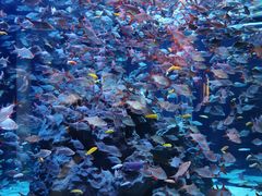 -成都浩海立方海洋公园