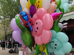 -长白岛森林公园