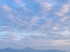 -深圳湾公园(南山区)
