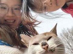 -竹泉村旅游度假区
