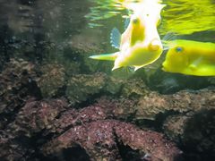 -洛阳龙门海洋馆