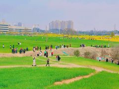 -三圣花乡旅游区