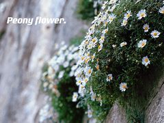 -响堂山石窟-北响堂山石窟