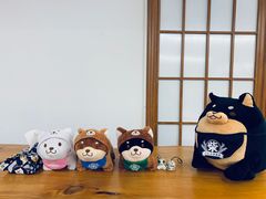 -豆柴町-柴犬主题狗咖(红鼎国际C座店)