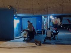 -霍元甲烧烤(江城商务大楼店)